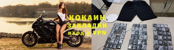 стафф Алексин