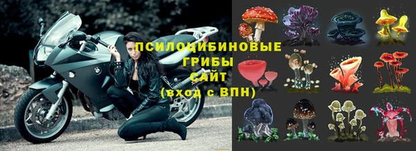 mdpv Алзамай
