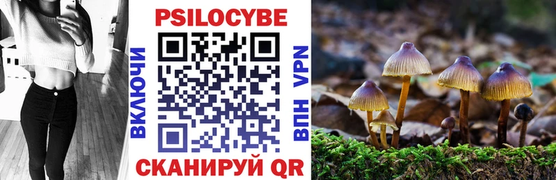 наркотики  Тюкалинск  Галлюциногенные грибы Cubensis 